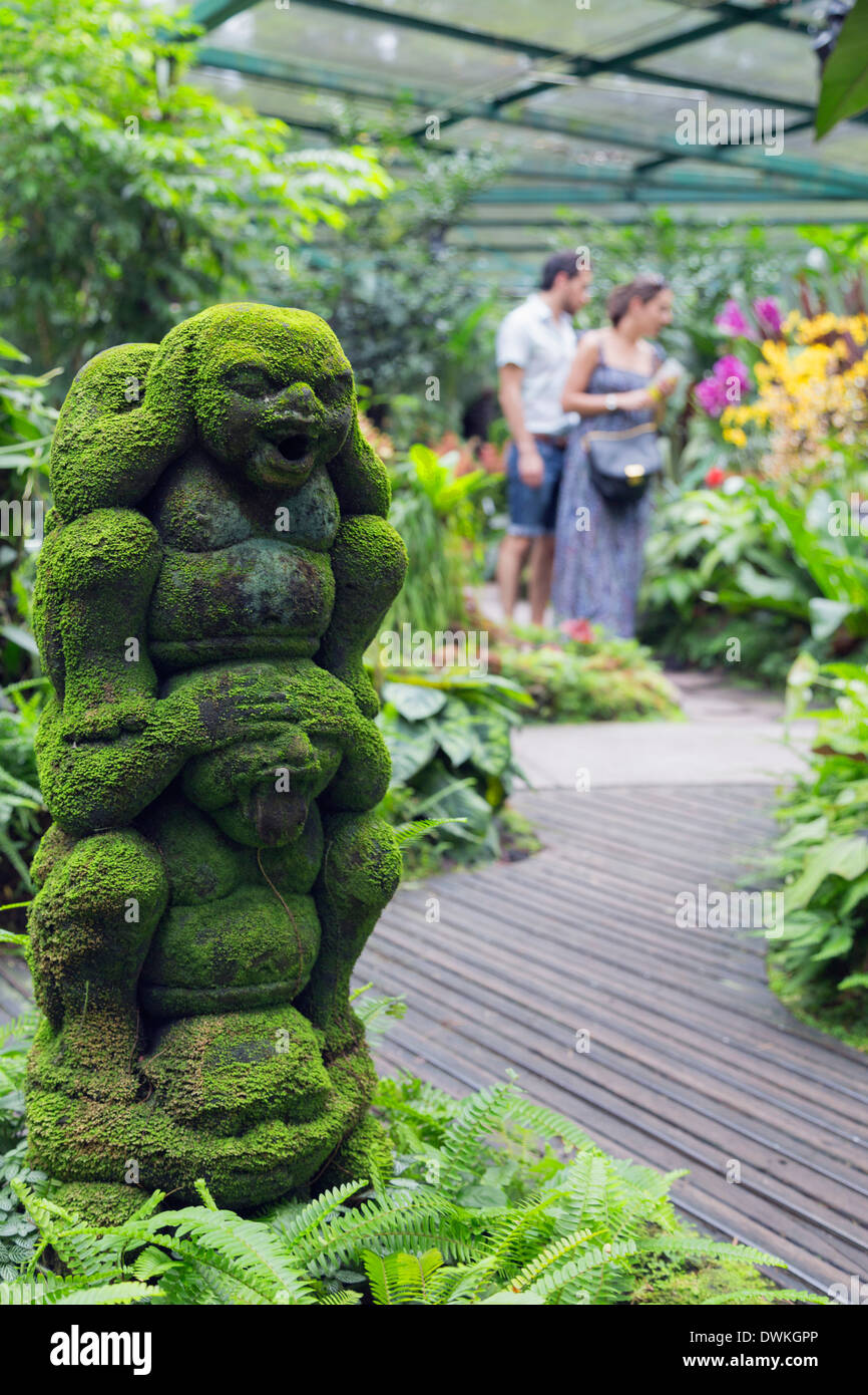 Giardini Botanici, Singapore, Sud-est asiatico, in Asia Foto Stock