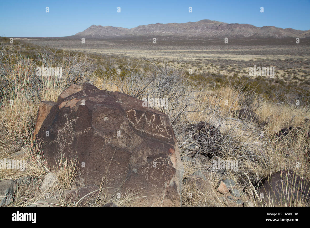 Bureau of Land Management, tre fiumi sito Petroglyph, sculture create da La Jornada Mogollon persone, Nuovo Messico Foto Stock