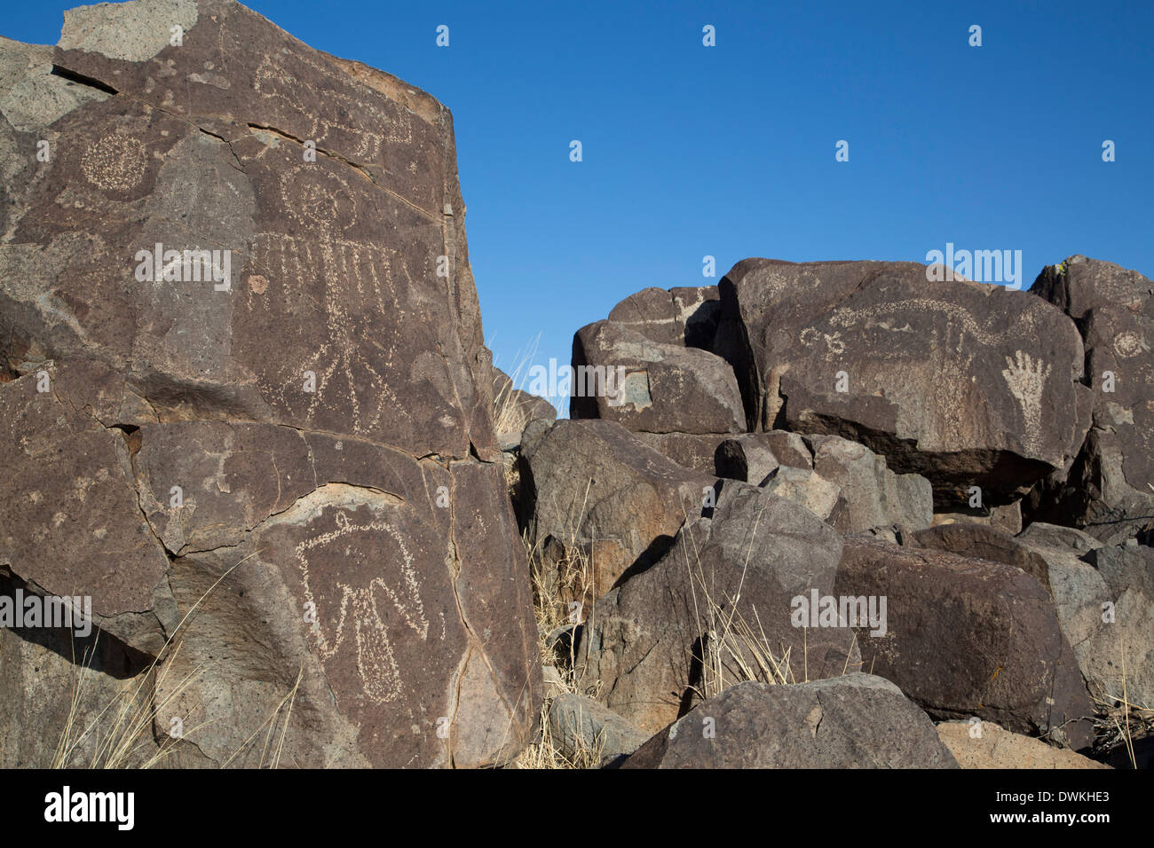 Bureau of Land Management, tre fiumi sito Petroglyph, sculture create da La Jornada Mogollon persone, Nuovo Messico Foto Stock