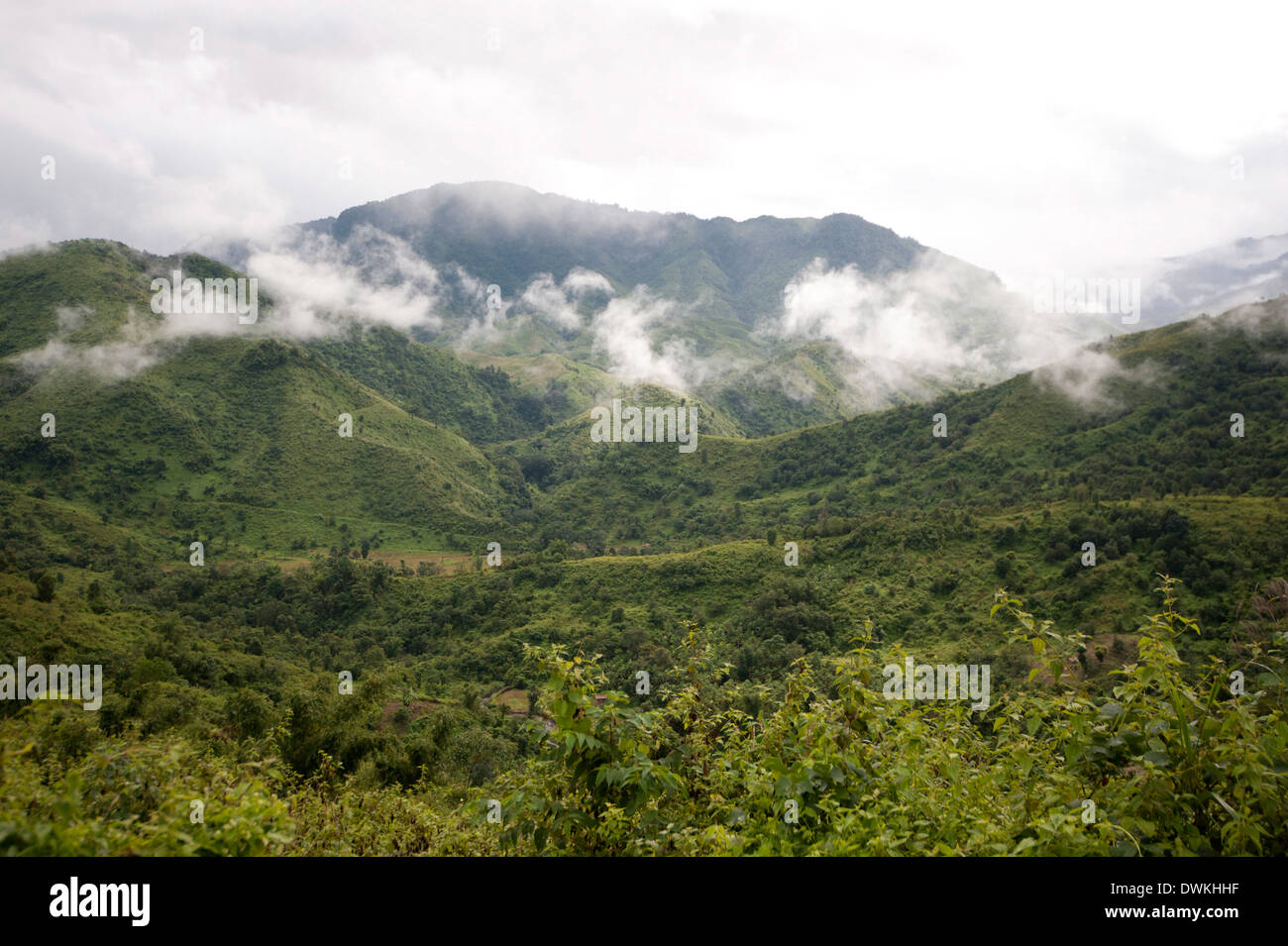 Nuvole su verdi colline Naga, rurale Nagaland, India, Asia Foto Stock