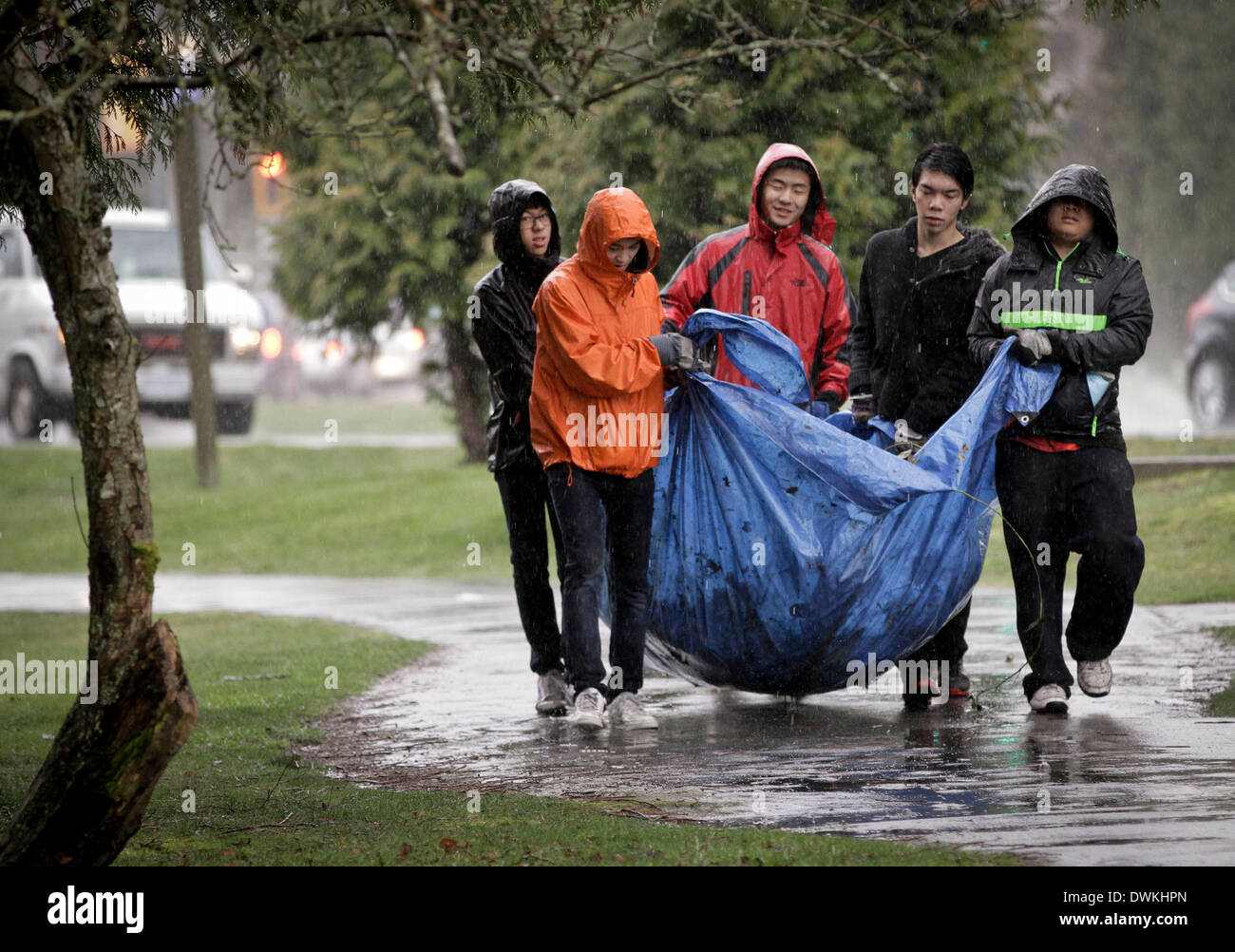 Vancouver, Canada. Decimo Mar, 2014. Volontari rimuovere le specie invasive in un parco in Richmond, Canada, 10 marzo 2014. Circa 90 giovani volontari organizzati attraverso i social media uniti insieme per rimuovere le piante invasive provenienti dalla comunità dei parchi. Gli organizzatori intendono contribuire a proteggere l'habitat naturale e a promuovere la consapevolezza pubblica della tutela ambientale attraverso questo periodico di volontariato evento. © Liang Sen/Xinhua/Alamy Live News Foto Stock