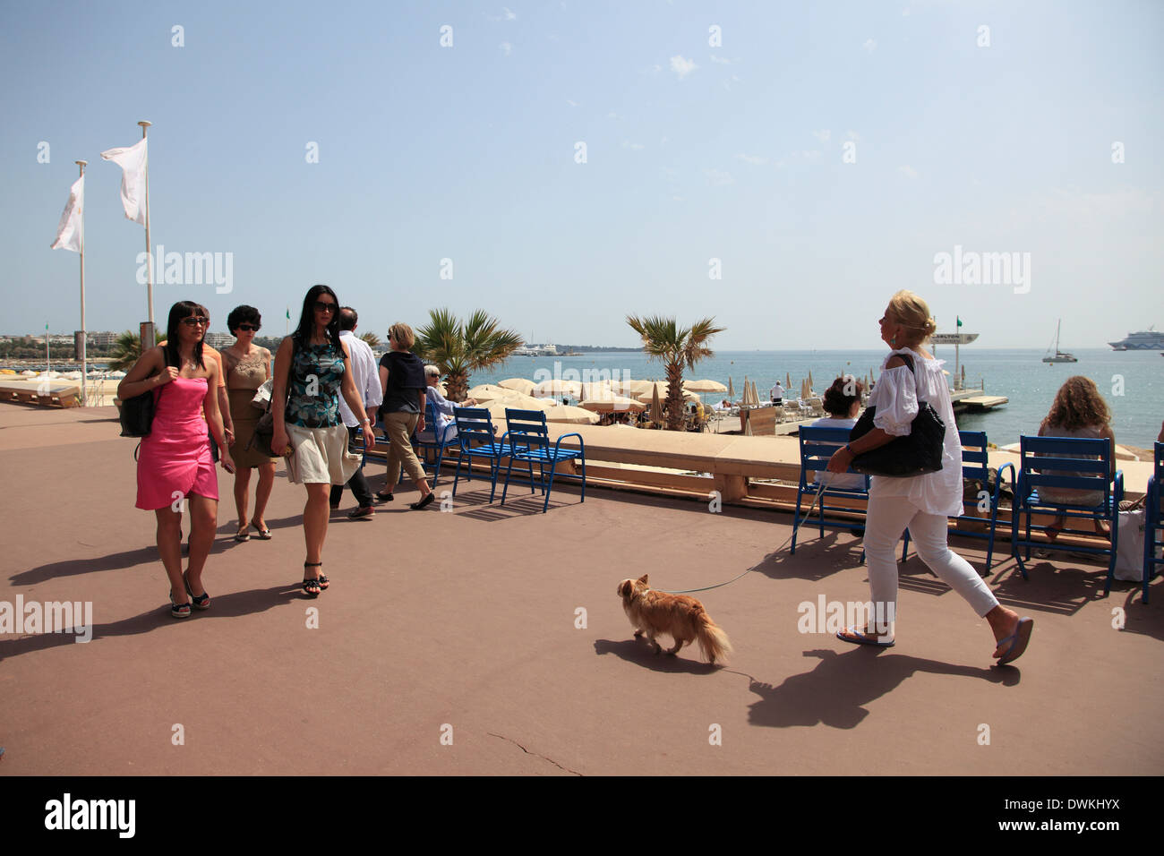 La Croisette, Cannes, Cote d'Azur, Alpes Maritimes, in Provenza Costa Azzurra, Francia, Mediterraneo, Europa Foto Stock