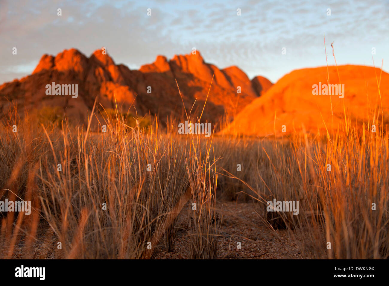 Paesaggio con rocce intorno alla montagna di granito Spitzkoppe, Namibia, Africa Foto Stock