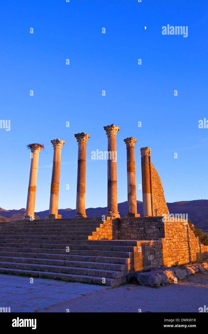 Scavi della città romana, Volubilis, Sito Patrimonio Mondiale dell'UNESCO, Marocco, Africa Settentrionale, Africa Foto Stock