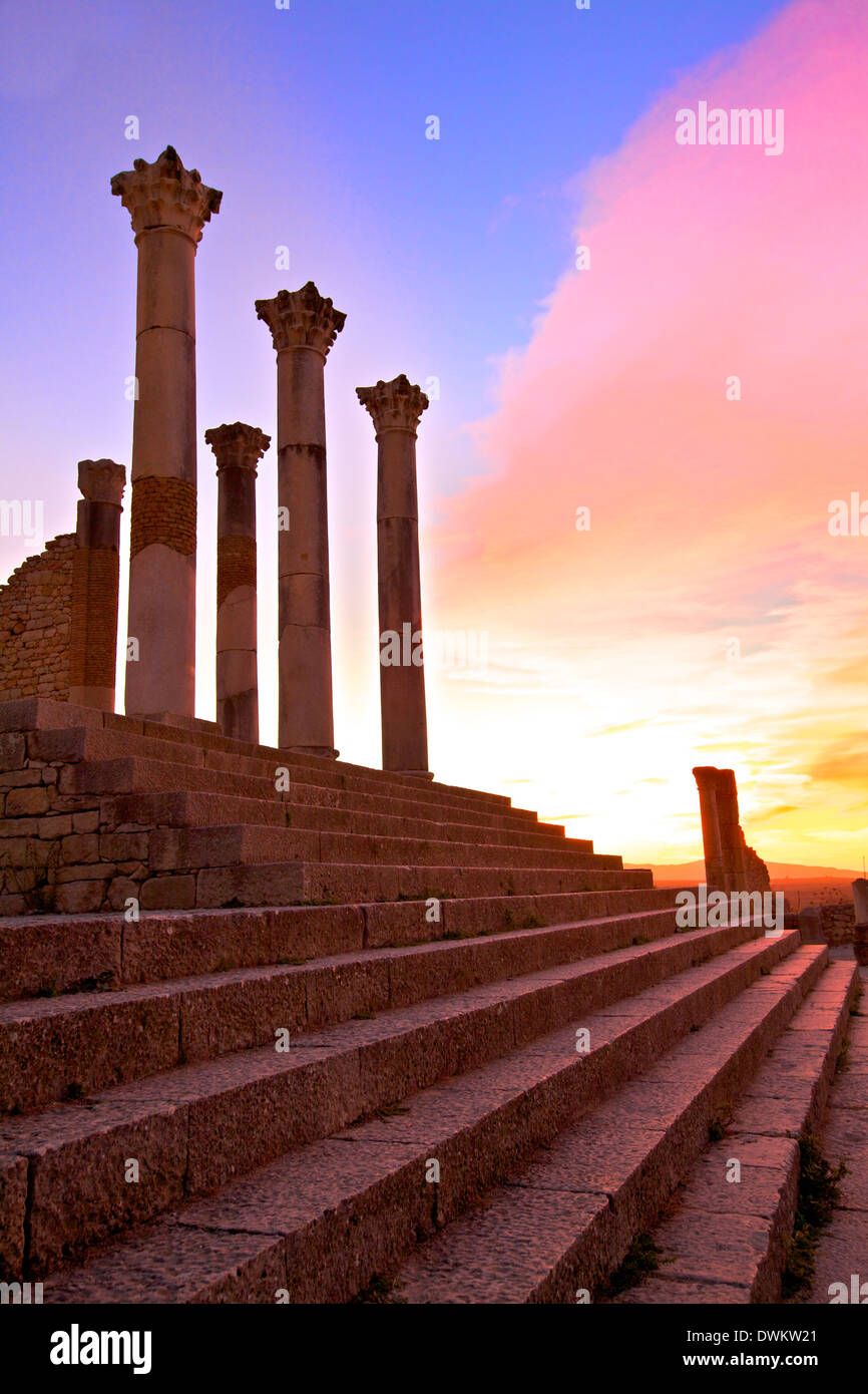 Scavi della città romana, Volubilis, Sito Patrimonio Mondiale dell'UNESCO, Marocco, Africa Settentrionale, Africa Foto Stock