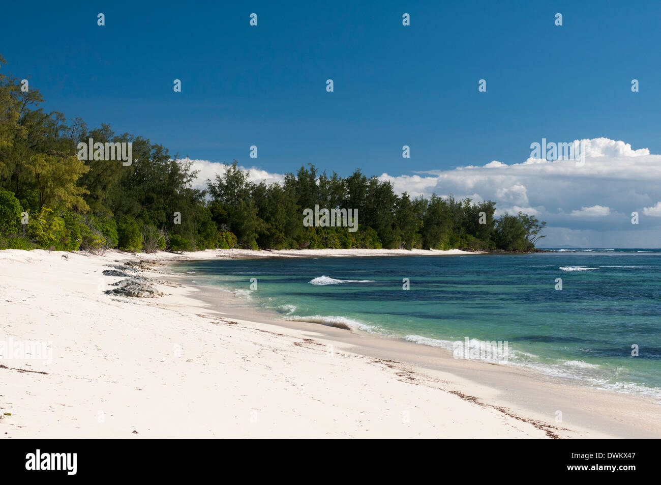 Denis Island, Seychelles, Oceano indiano, Africa Foto Stock