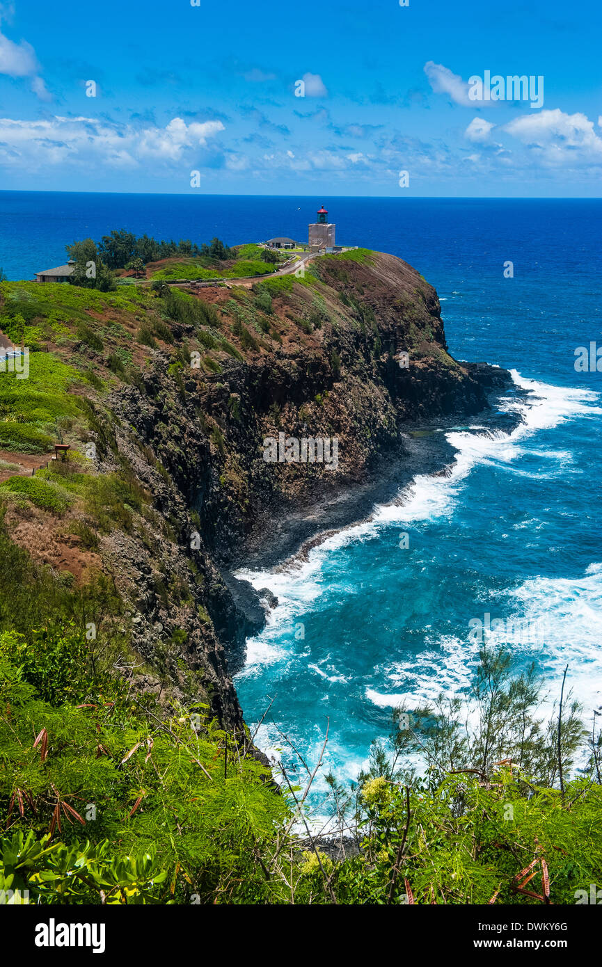 Il Kilauea Point National Wildlife Refuge sull'isola di Kauai, Hawaii, Stati Uniti d'America, il Pacifico Foto Stock