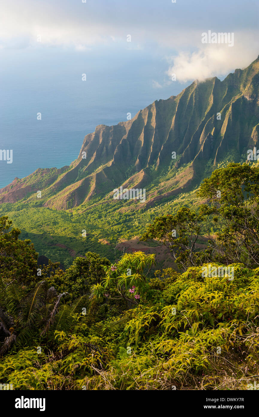 Kalalau lookout sulla Costa Napali dal Kokee State Park, Kauai, Hawaii, Stati Uniti d'America, il Pacifico Foto Stock