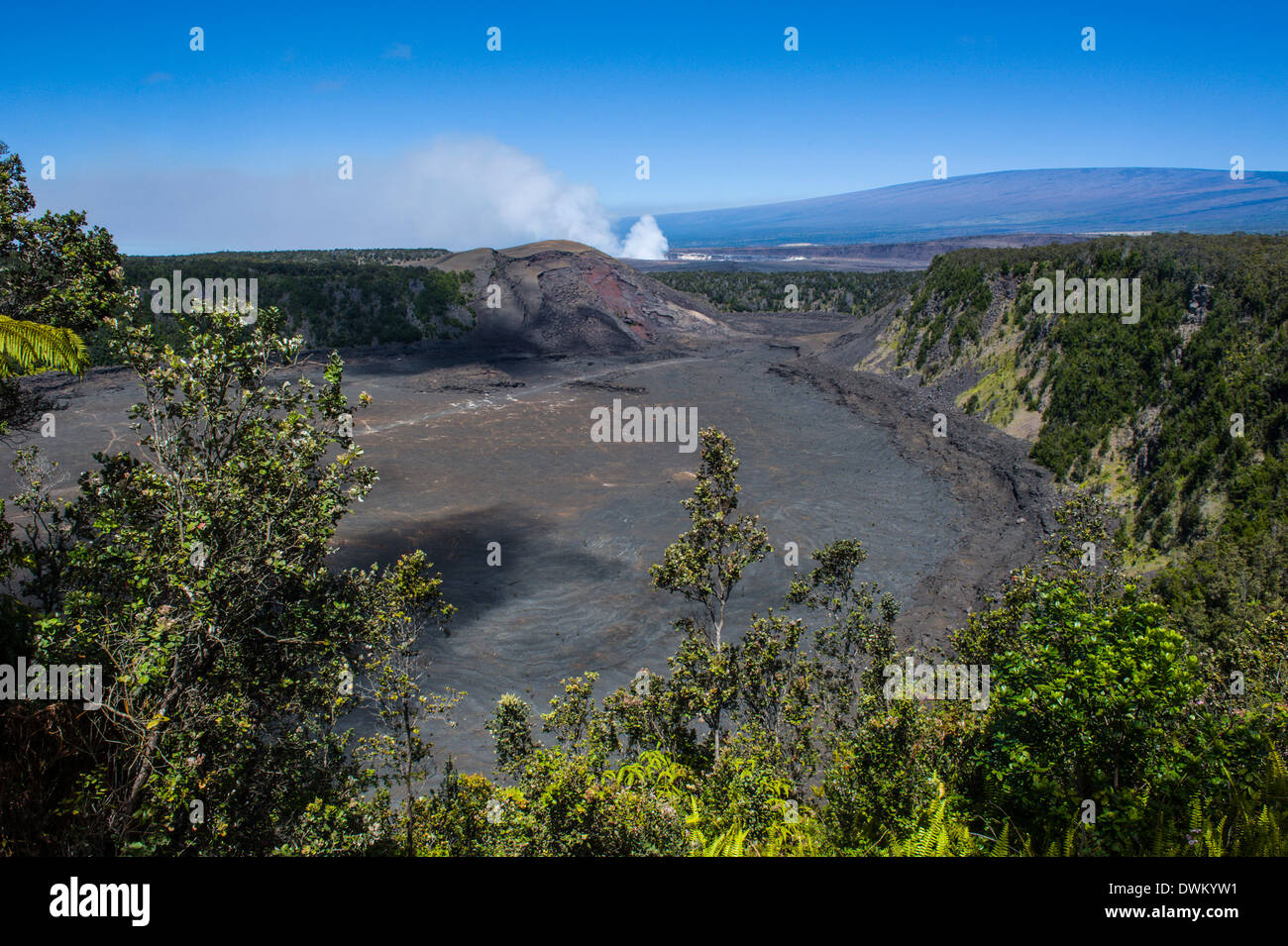 Il cratere vulcanico prima del Vertice di Kilauea il lago di lava nel Parco Nazionale dei Vulcani delle Hawaii, sito UNESCO, Big Island, Hawaii, Pacific Foto Stock