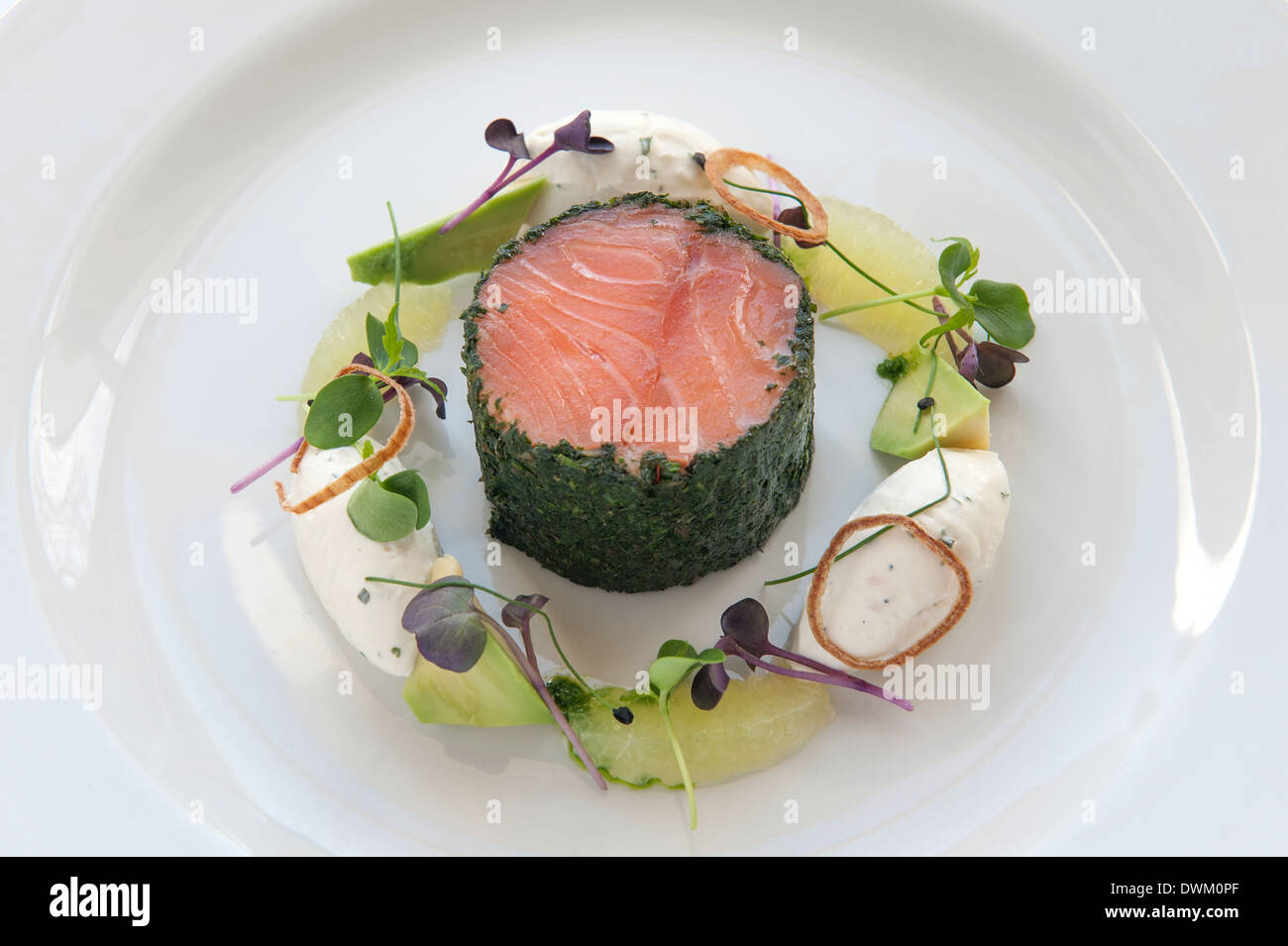 Salmone ballontine, fromage blanc, calce, avocado e caviale Foto Stock