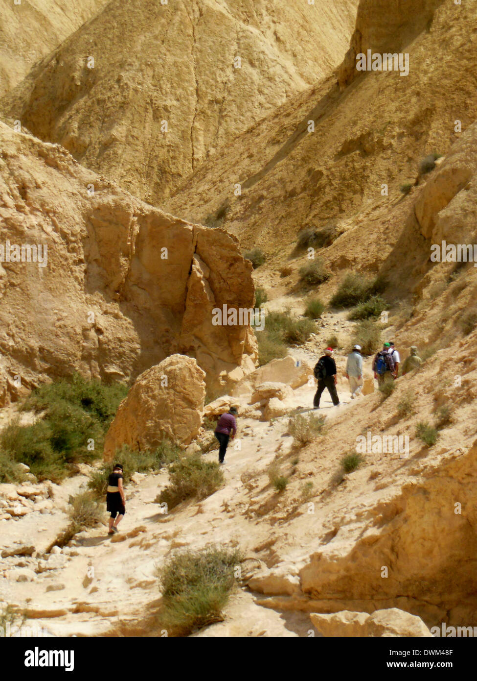 Impressioning trekkingtours sono possibili nelle valli a secco tra le rocce della Nahalzin, un deserto in South-Israel - Aprile 2013. Foto Stock