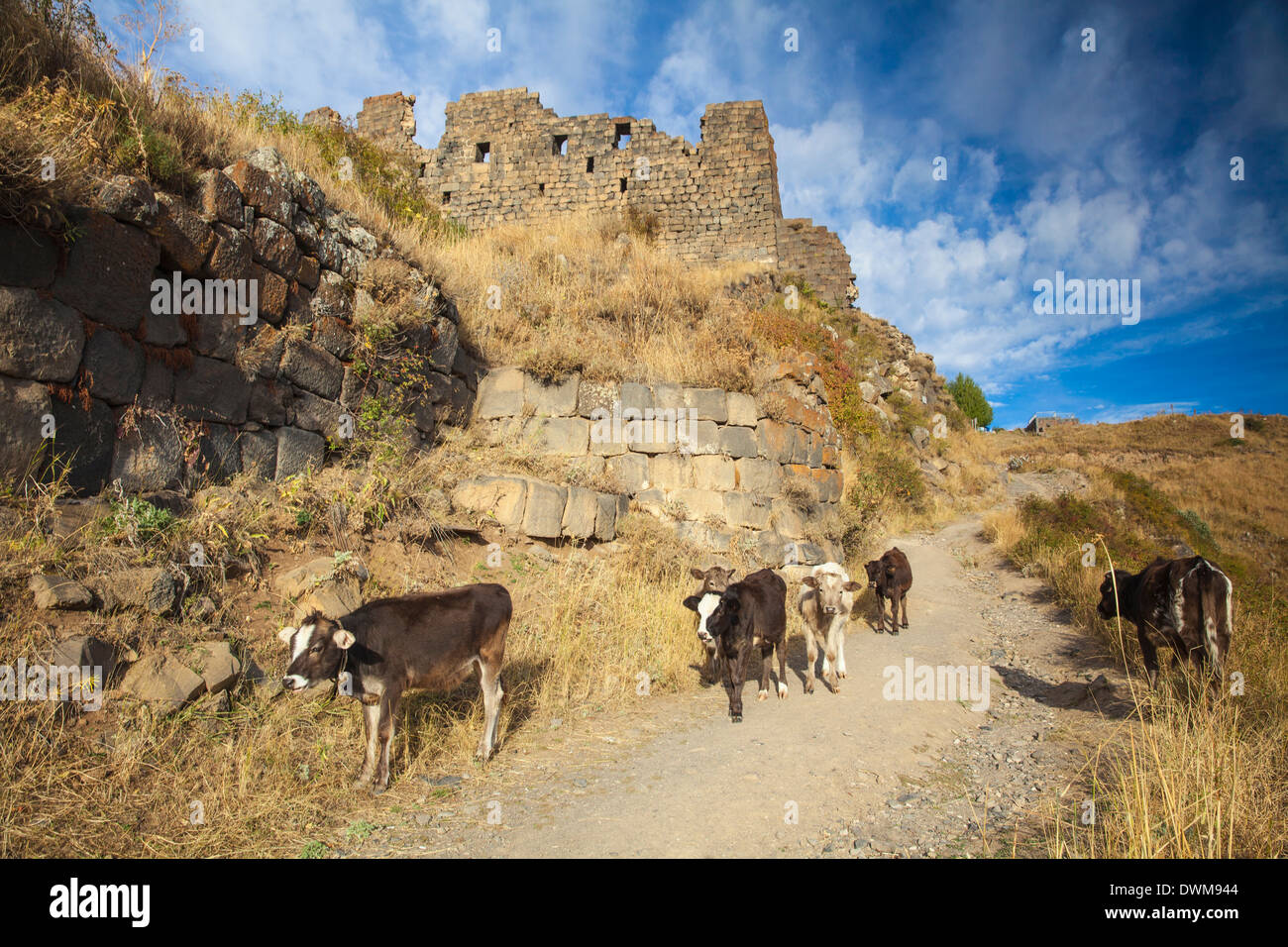 Amberd fortress situato sulle pendici del monte Aragats, Yerevan, Aragatsotn, Armenia, Asia Centrale, Asia Foto Stock