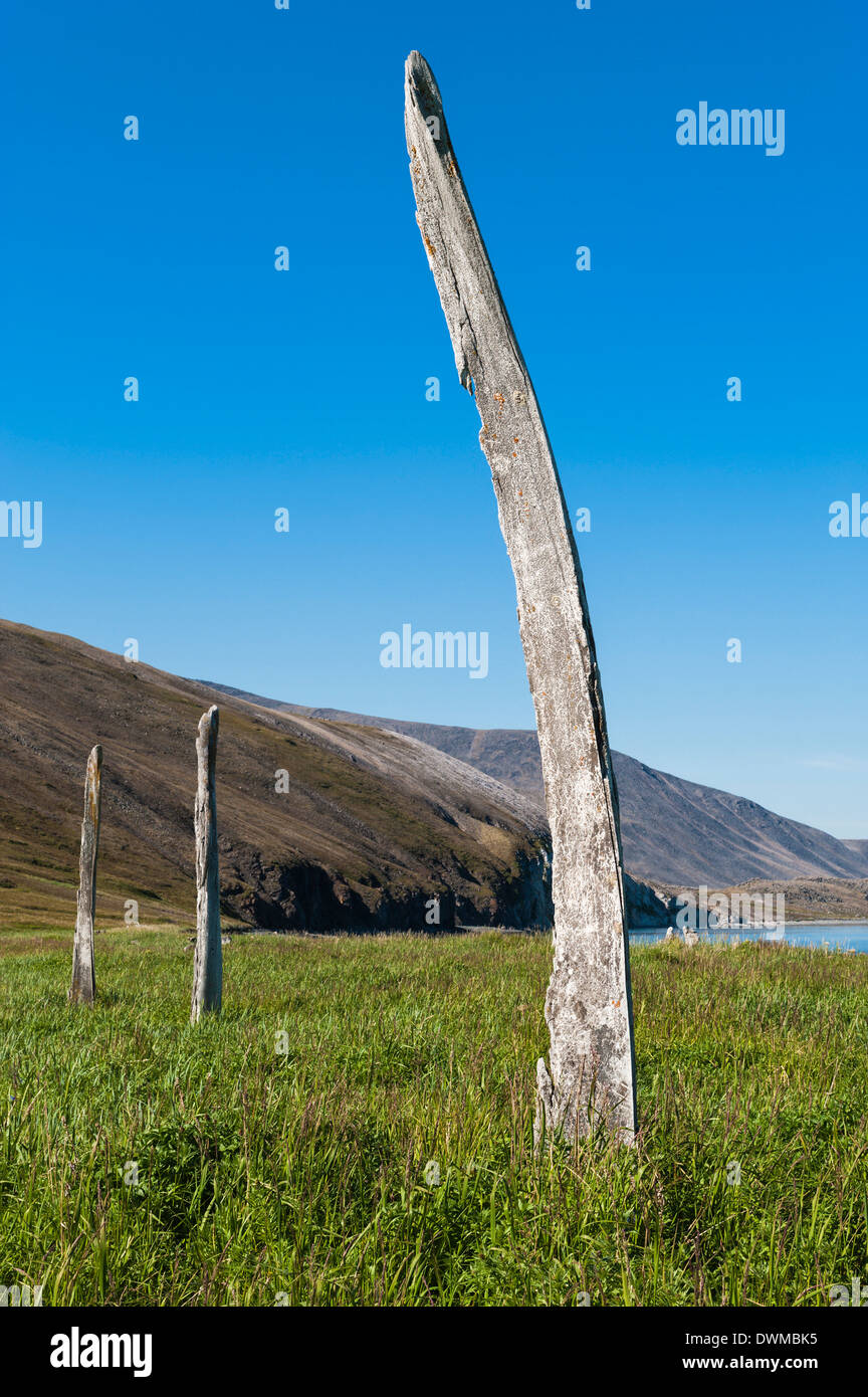 Osso di balena vicolo, Ittygran Isola, Chukotka, Russia, Eurasia Foto Stock