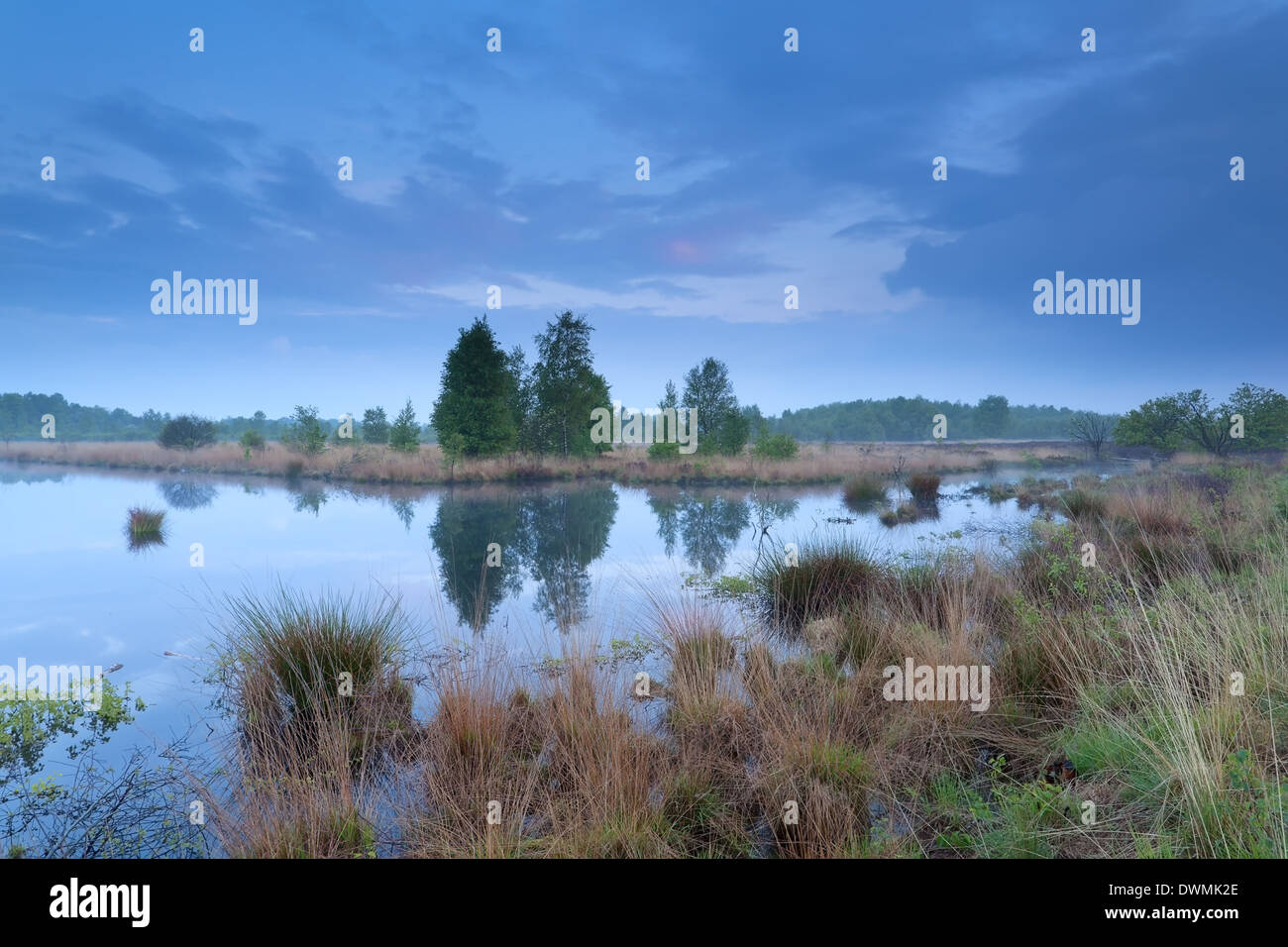 Estate Sunset over bog, Friesland, Paesi Bassi Foto Stock