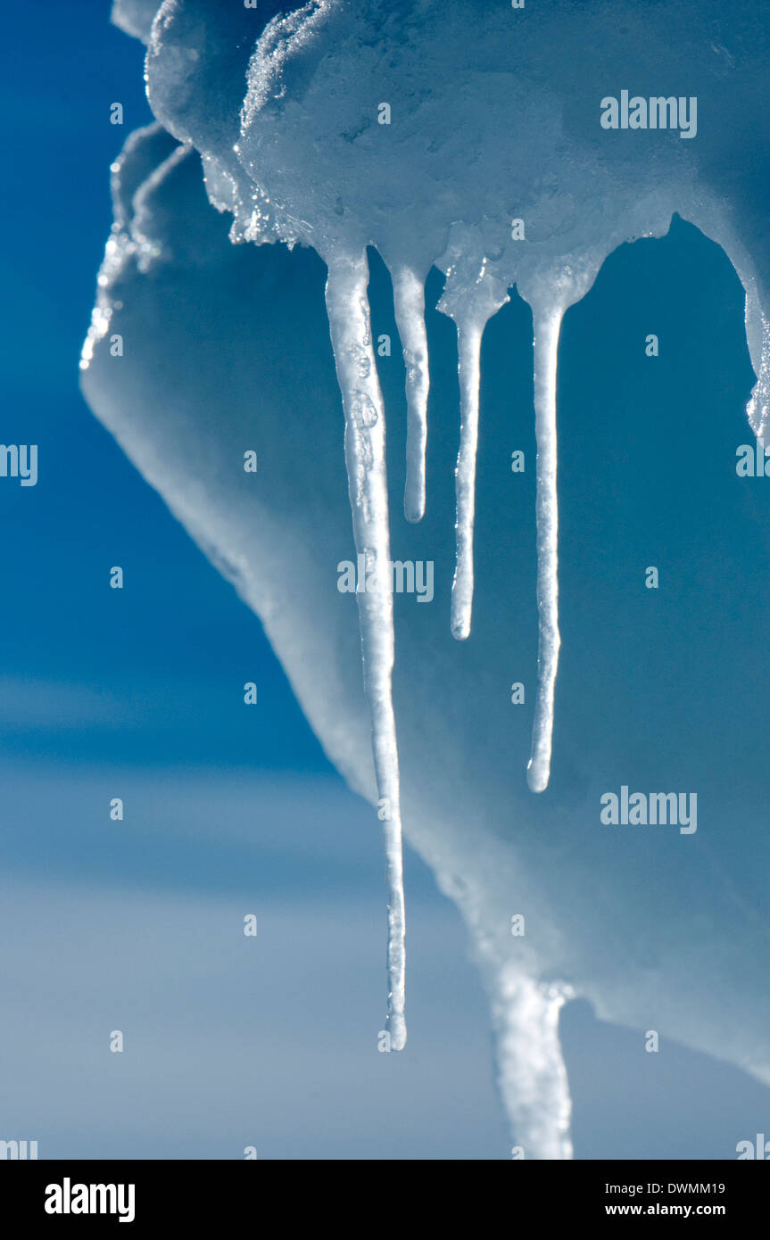 La fusione del ghiaccio in alta Arctic Sun in primavera, Nunavut, Canada, America del Nord Foto Stock
