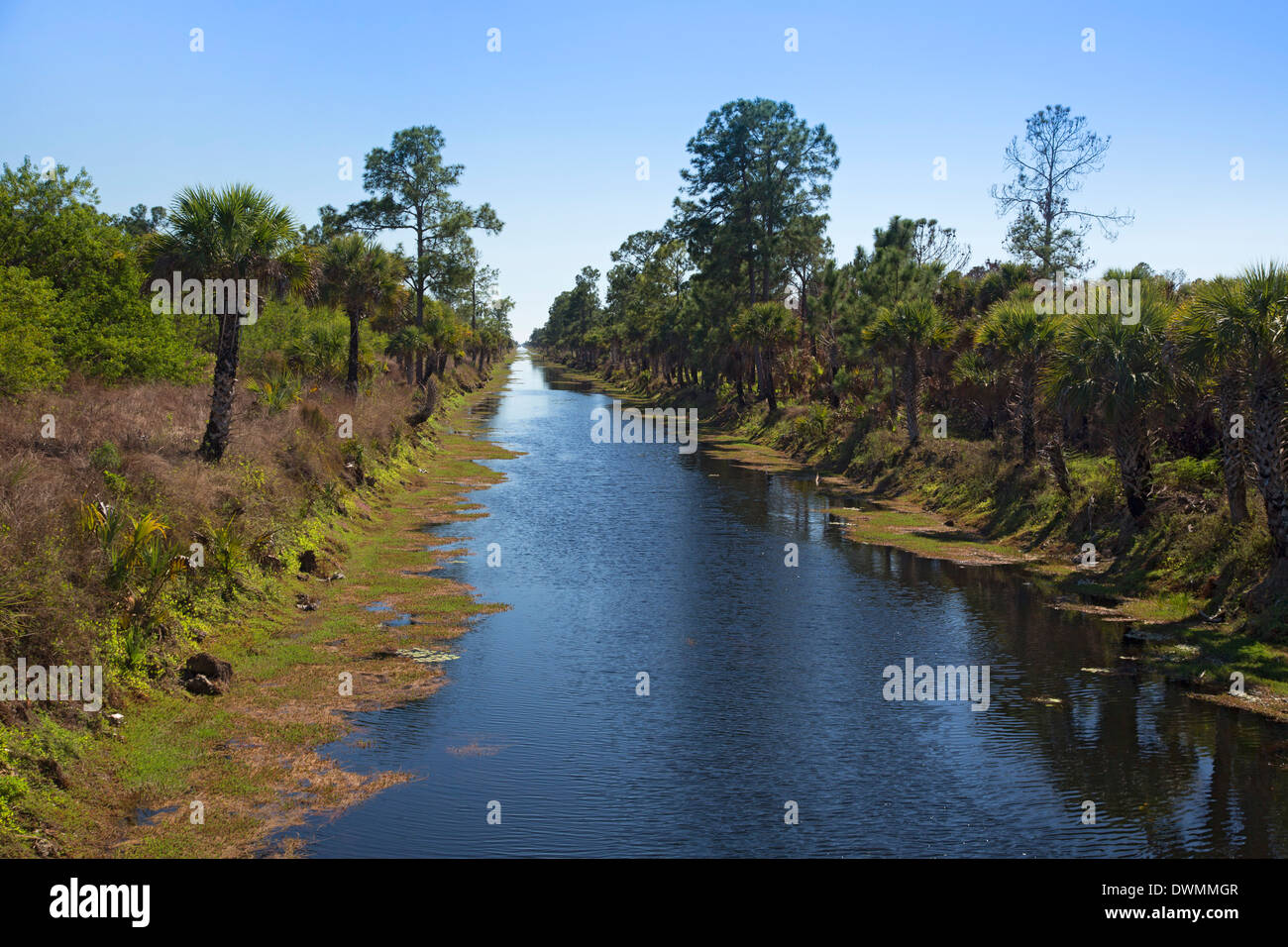 Everglades restauro Foto Stock