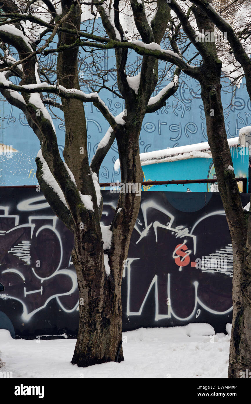 Coperte di neve alberi dirige anche graffiti-parete coperta nel centro di Reykjavik Foto Stock