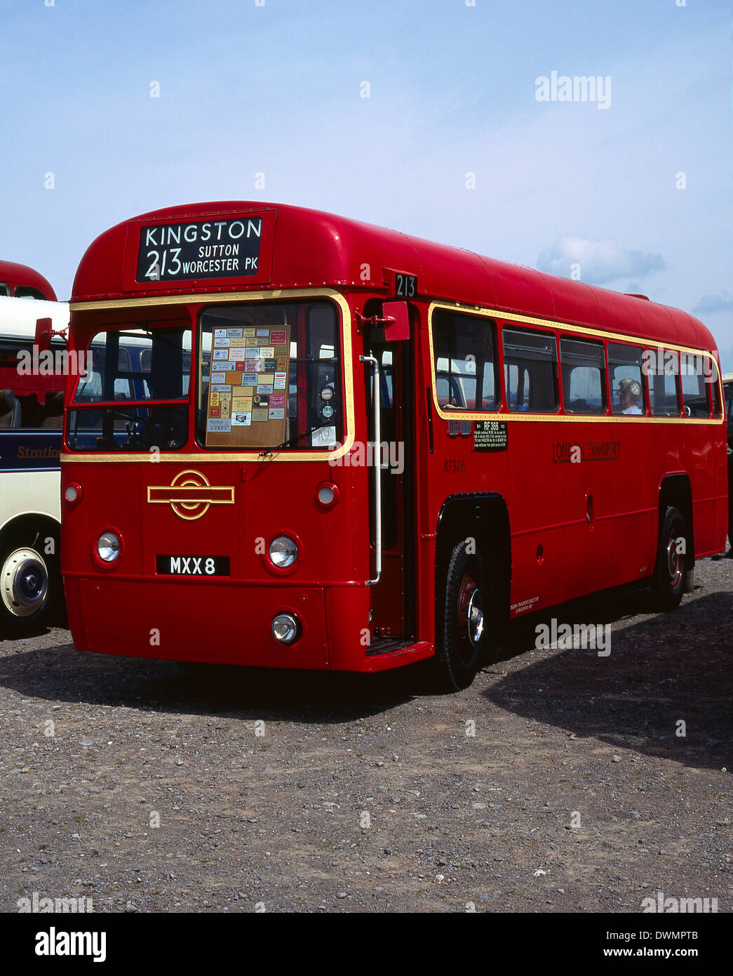 Trasporti di Londra single decker bus o autobus. Regal AEC IV con corpo MCCW. Costruito 1952 Foto Stock