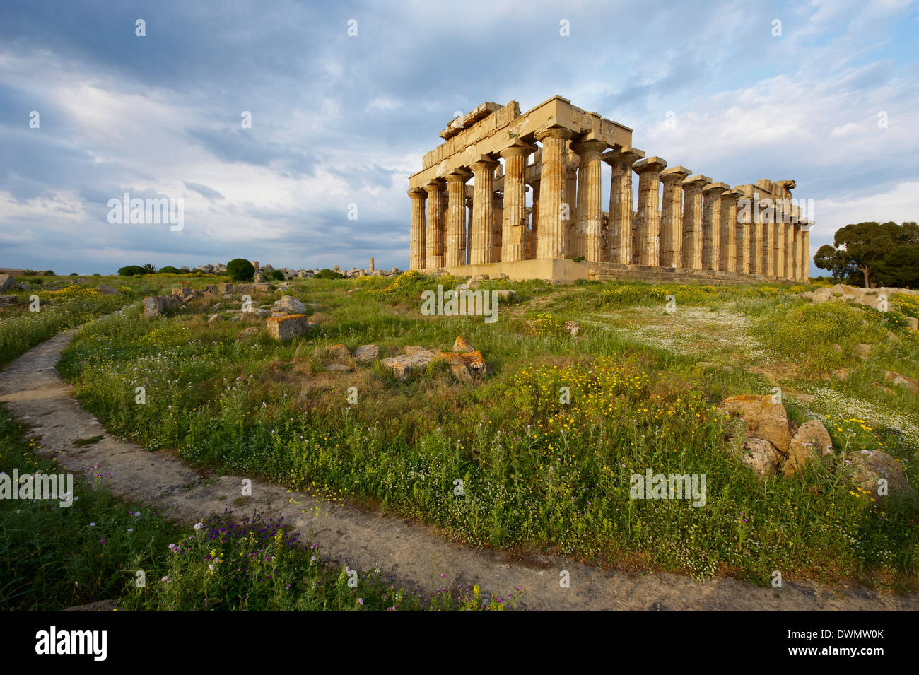 Tempio e di Selinunte, Distretto di Trapani, Sicilia, Italia, Europa Foto Stock
