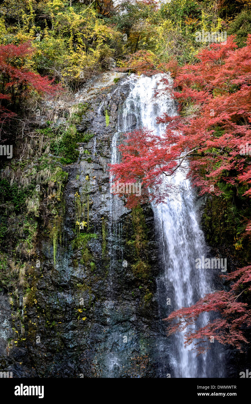 Mino cascata presso il Mino Quasi Parco Nazionale. Osaka, Giappone. Foto Stock