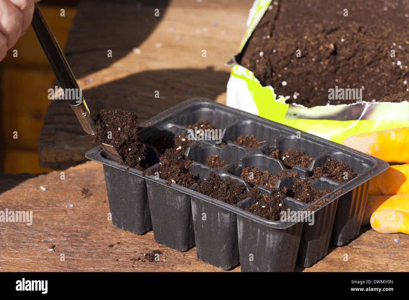 Versare nel suolo di incapsulazione con una piccola pala in plastica di piccole dimensioni nei vassoi di piante Foto Stock