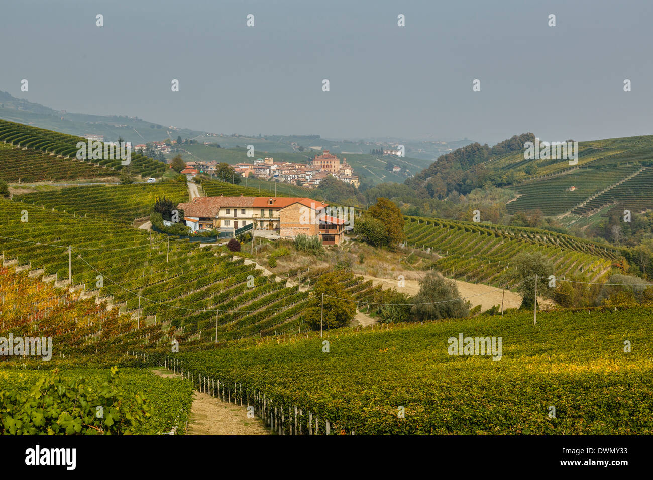 Vista sul villaggio di Barolo e vigneti, Langhe, Distretto di Cuneo, Piemonte, Italia, Europa Foto Stock