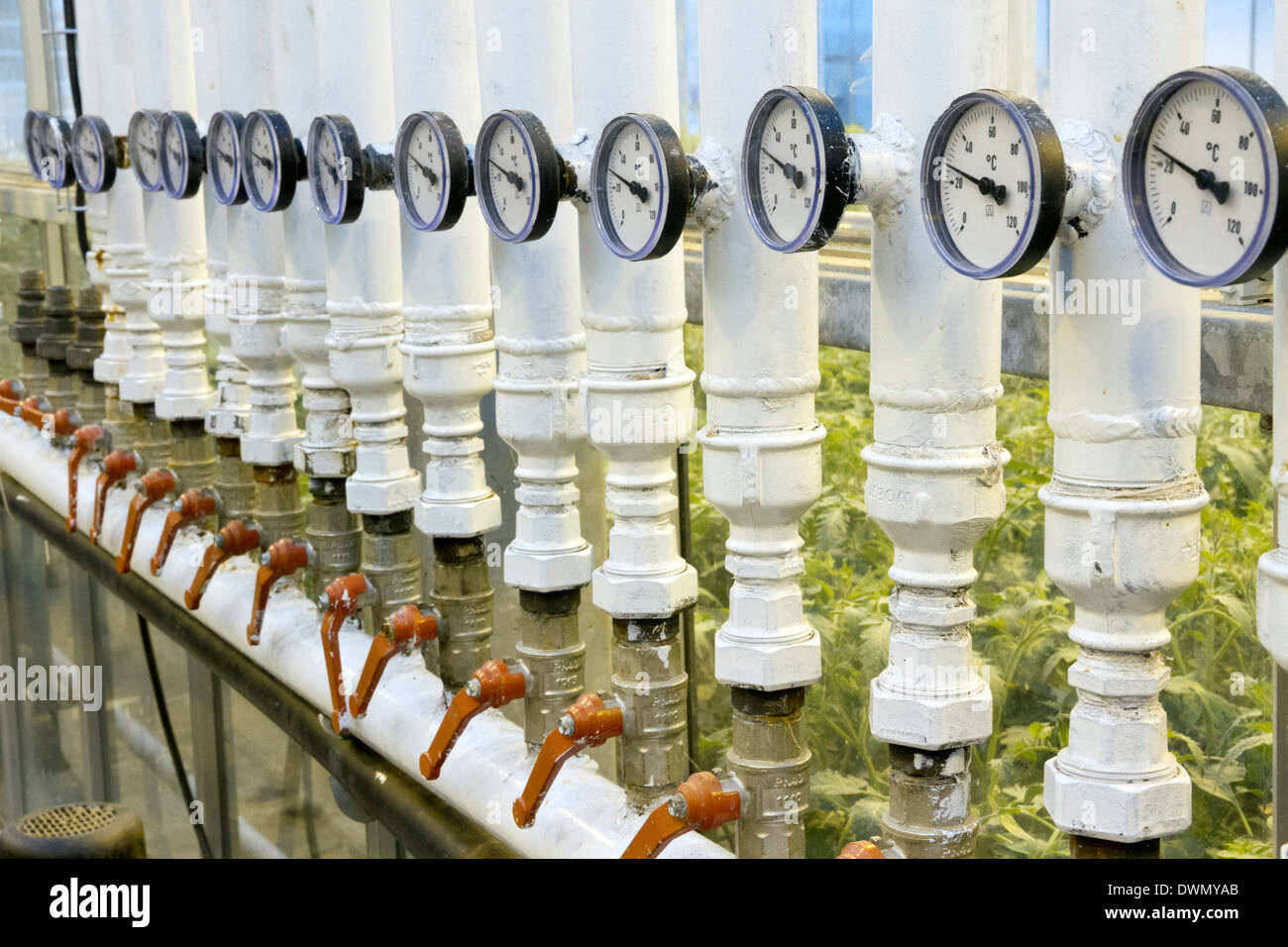 Serra manometri in geothermally serre riscaldate in Frioheimar Islanda Foto Stock