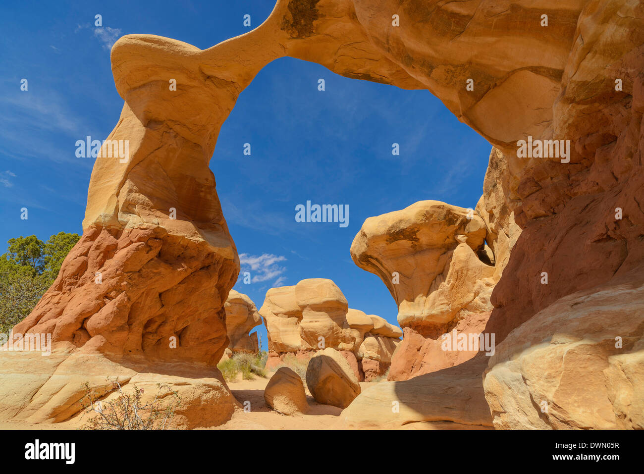 Metate Arch, Devils Garden, la grande scala Escalante National Monument, Utah, Stati Uniti d'America, America del Nord Foto Stock