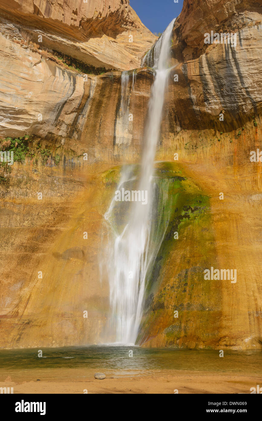 Abbassare Calf Creek Falls, Scalone Escalante National Monument, Utah, Stati Uniti d'America, America del Nord Foto Stock