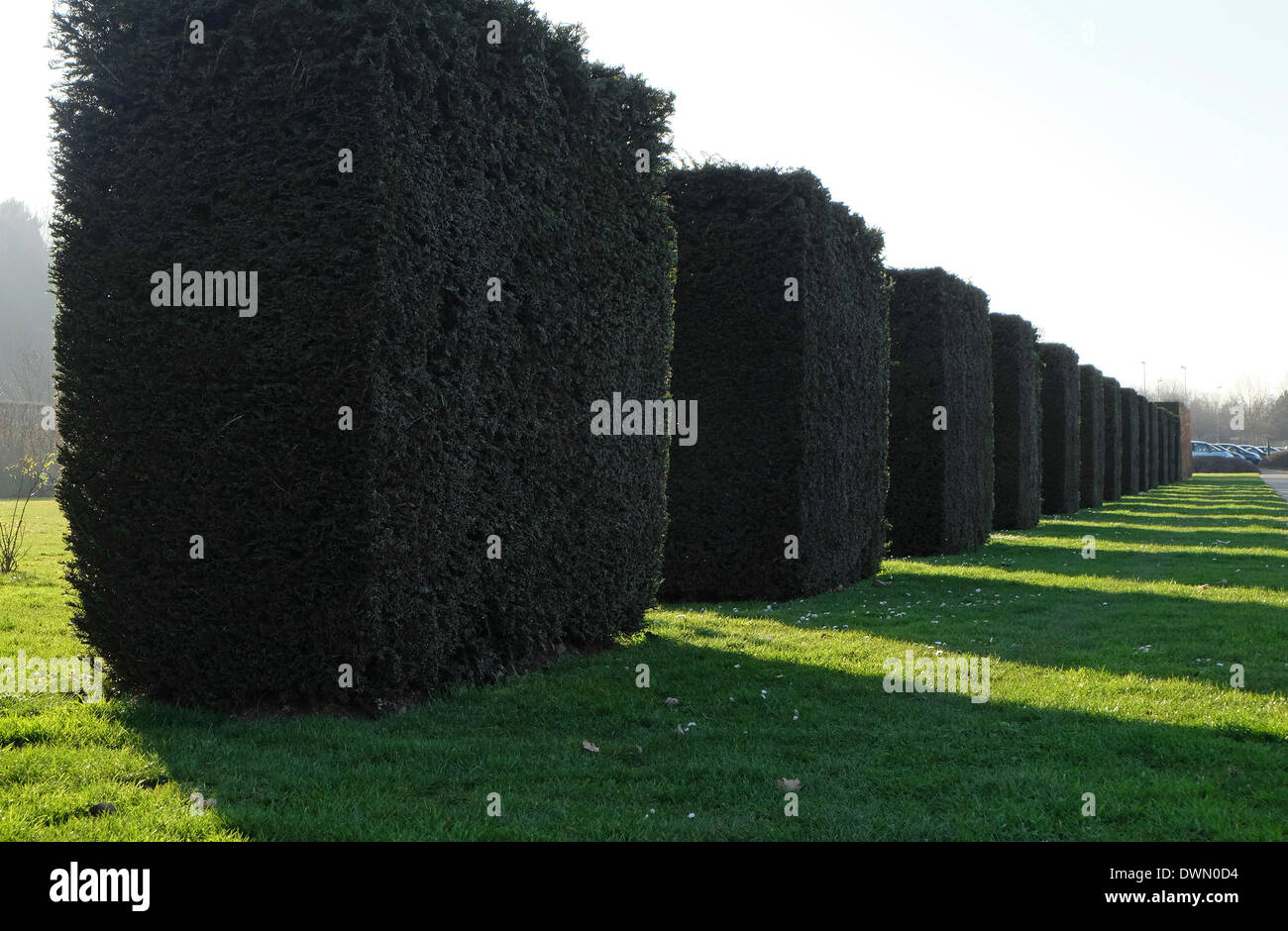 Caen Memorial Gardens, in Normandia, Francia Foto Stock