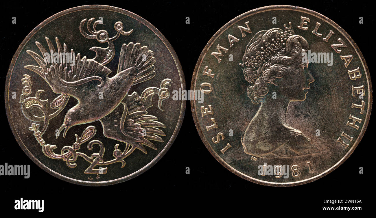 2 pence coin, Manx Shearwater bird, Isola di Man, 1981 Foto Stock