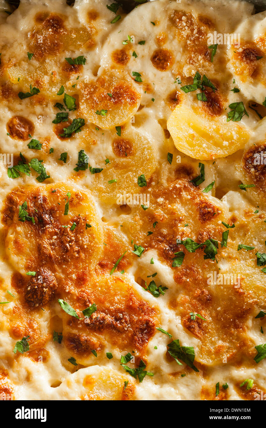 In casa Cheesey festone di patate con fiocchi di prezzemolo Foto Stock