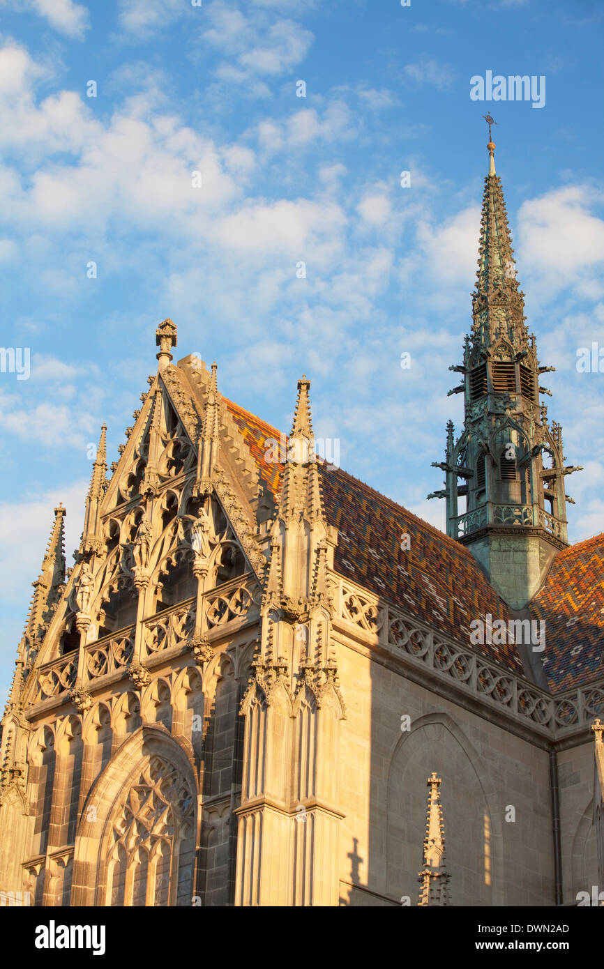 Cattedrale di Santa Elisabetta, Kosice, Regione di Kosice, Slovacchia, Europa Foto Stock