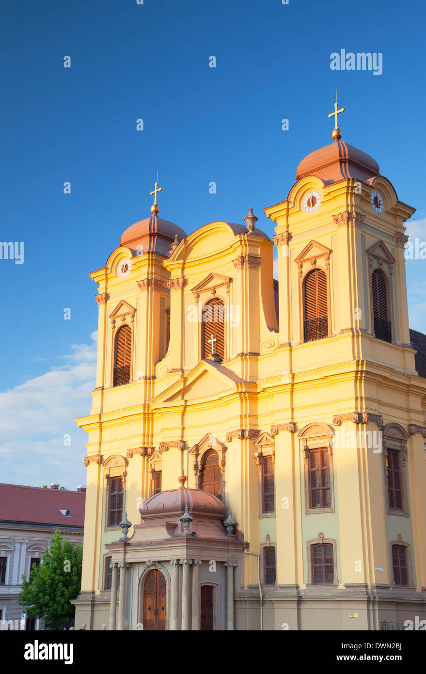 Cattedrale cattolica romana in Piata Unirii, Timisoara, Banato, Romania, Europa Foto Stock