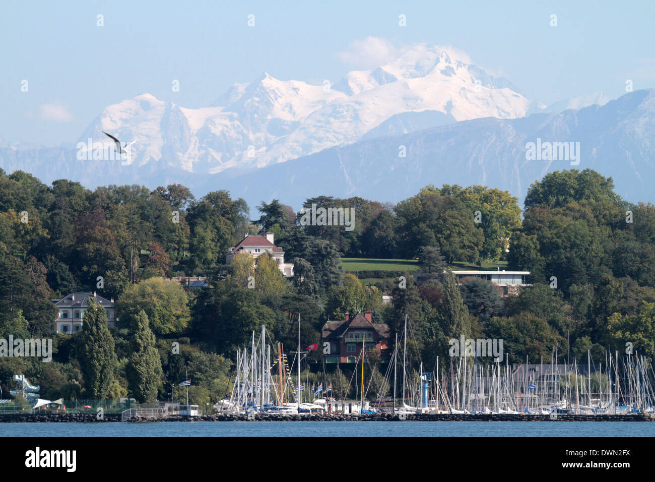 Marina, sul Lago di Ginevra, Svizzera, Europa Foto Stock