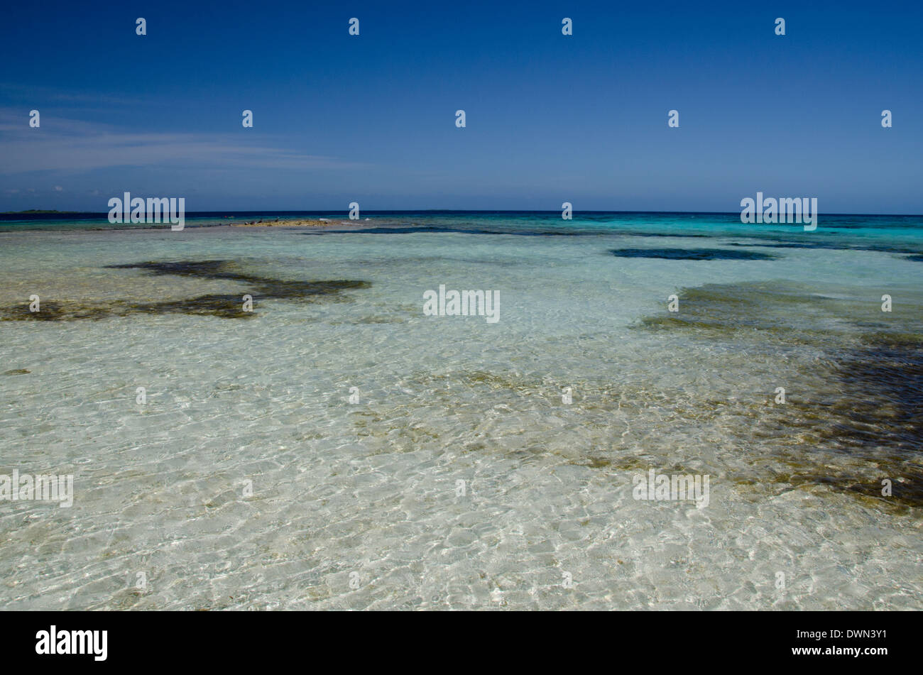 Belize, il Mare dei Caraibi, Wild Orchid Caye (aka Moho Caye). Piccola isola privata situata nel mare dei Caraibi lungo la barriera corallina. Foto Stock