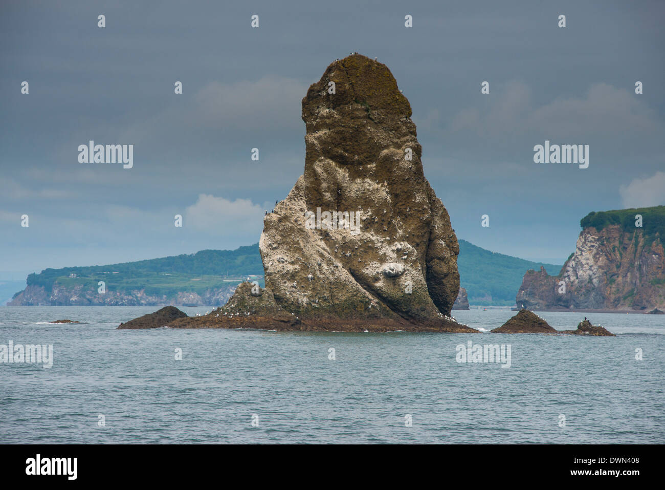 Grande monolite nella baia Avacha vicino Petropavlovsk-Kamchatsky, Kamchatka, Russia, Eurasia Foto Stock