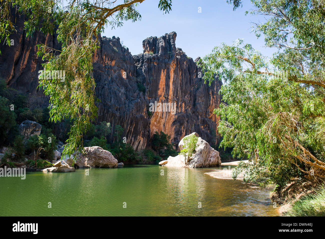 Windjana Gorge, il Kimberleys, Australia occidentale, Australia Pacific Foto Stock