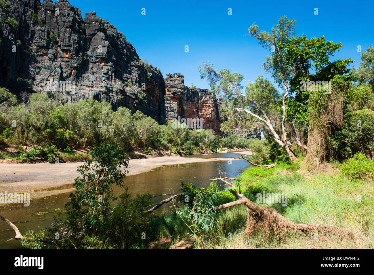 Windjana Gorge, il Kimberleys, Australia occidentale, Australia Pacific Foto Stock