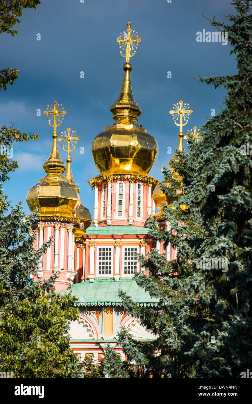 Le cupole dorate del Lavra della Trinità di San Sergio, Sito Patrimonio Mondiale dell'UNESCO, Sergiyev Posad, Golden Ring, Russia, Europa Foto Stock