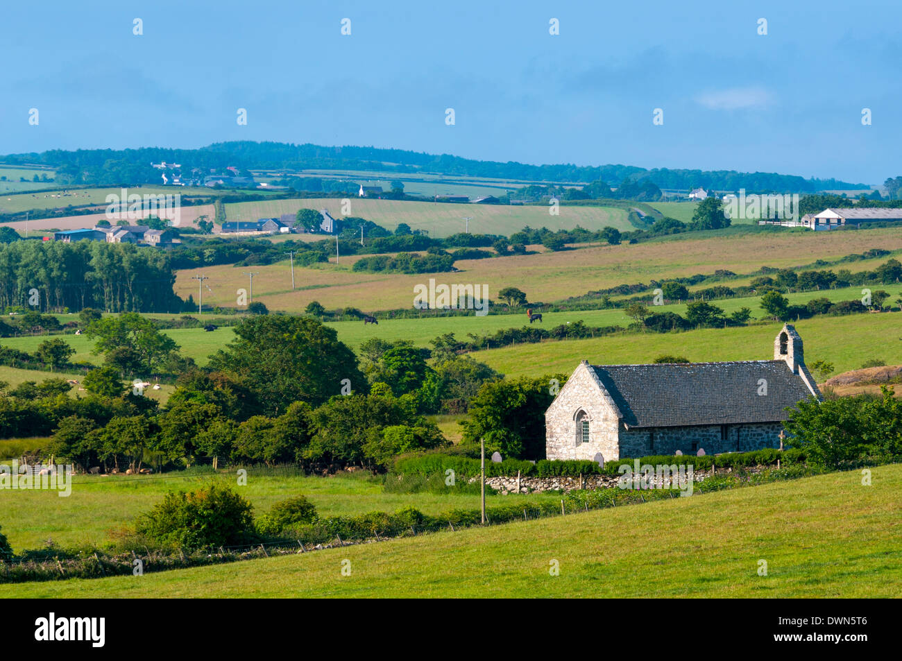 Anglesey, Gwynedd, Wales, Regno Unito, Europa Foto Stock