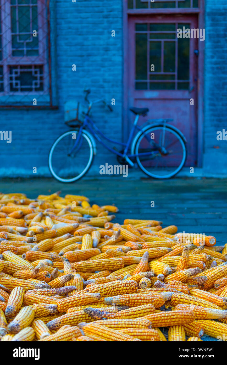 Mais (mais) essiccazione, Gubeikou, Contea di Miyun, Municipalità di Pechino, Cina, Asia Foto Stock