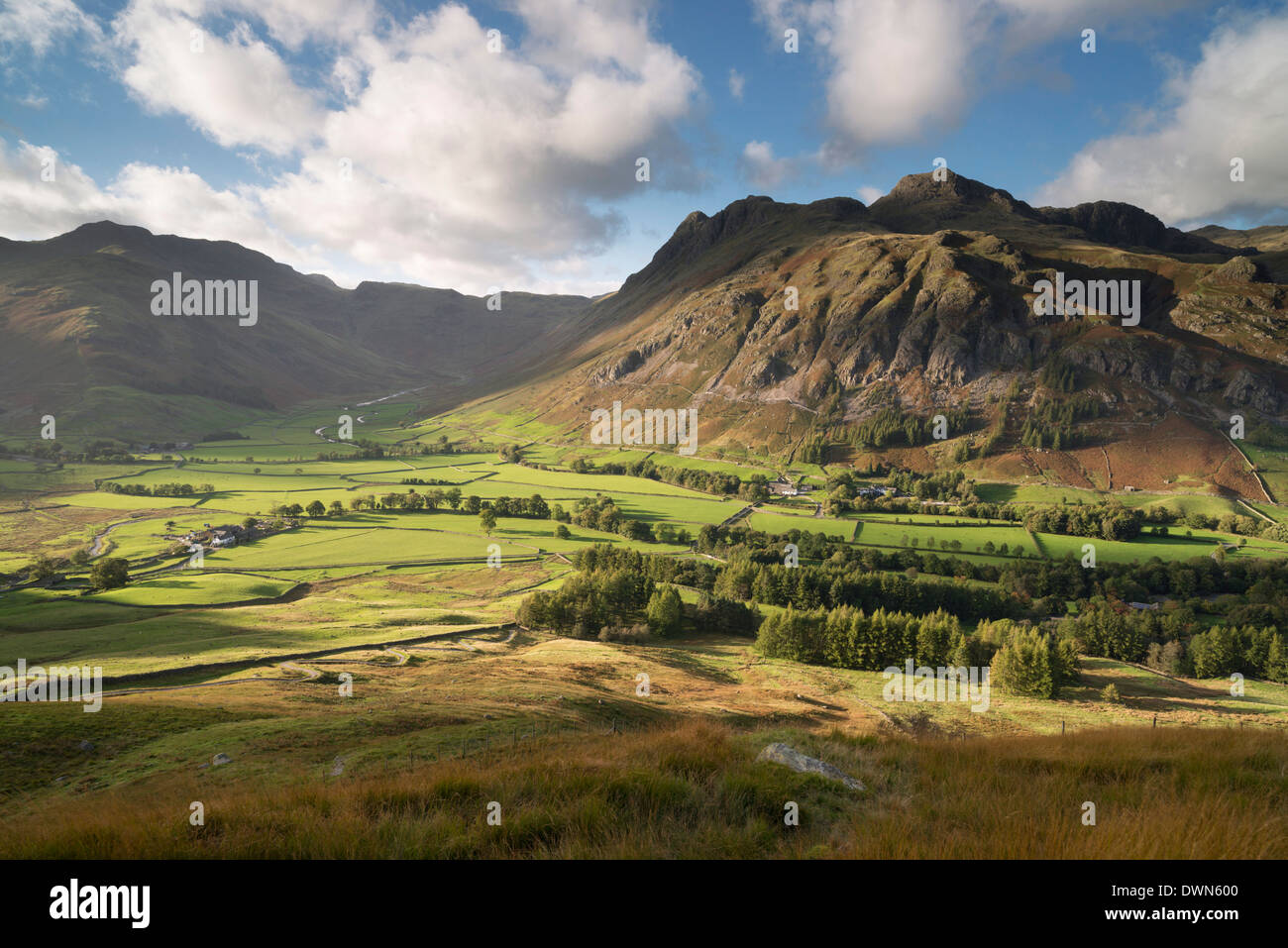 Bella Luce autunnale in The Langdale Valley, Lake District, Cumbria, England, Regno Unito, Europa Foto Stock
