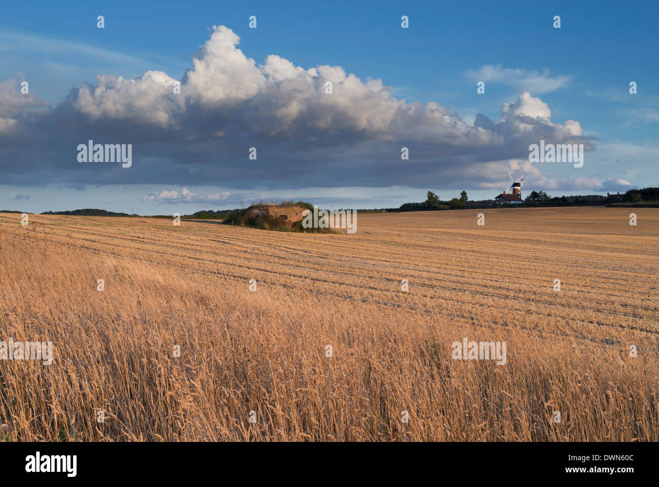 Bella serata estiva la luce in questa vista da Weybourne, North Norfolk, Inghilterra, Regno Unito, Europa Foto Stock