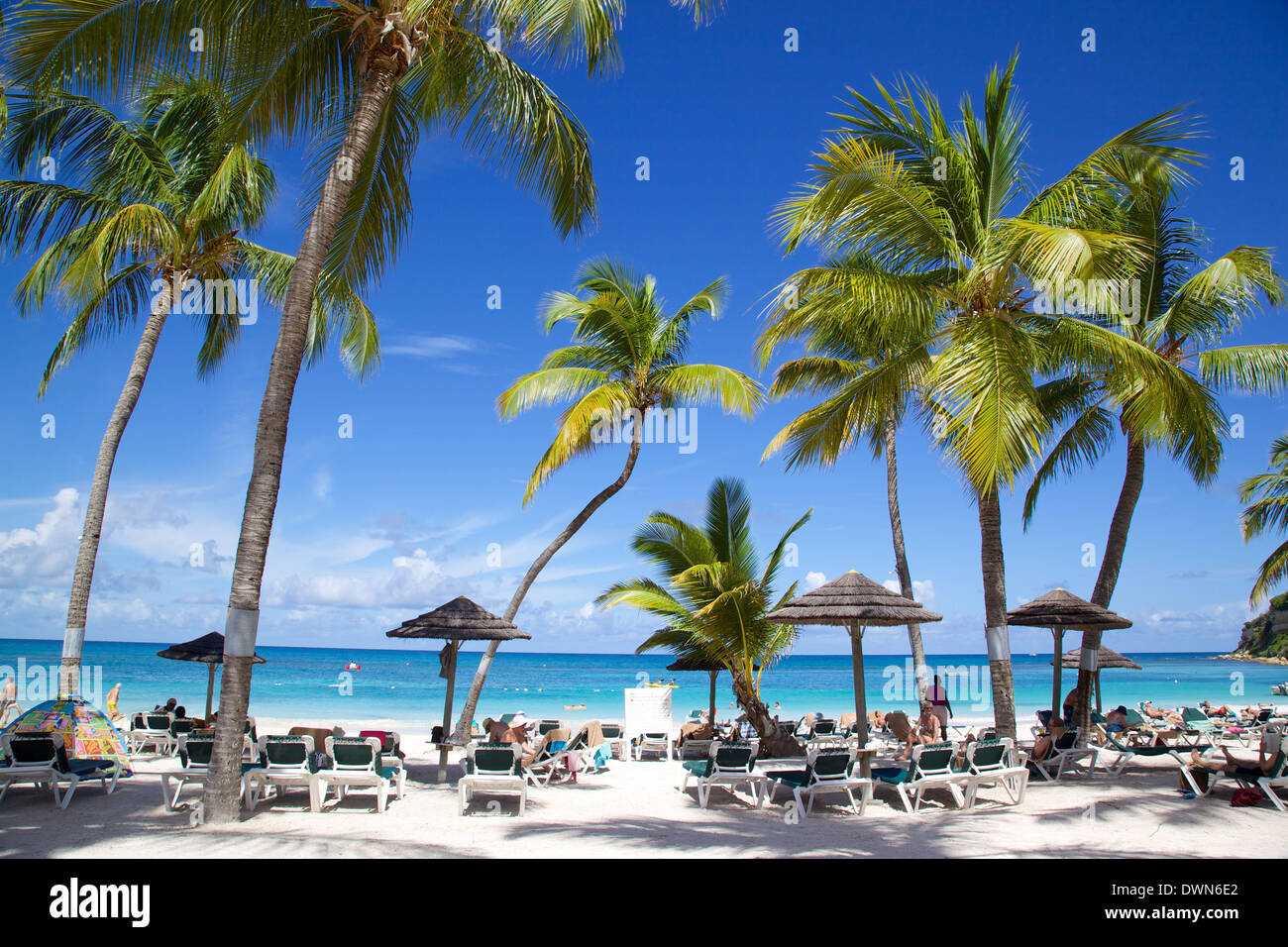 Vista di Long Bay e Beach, Long Bay, Antigua, Isole Sottovento, West Indies, dei Caraibi e America centrale Foto Stock