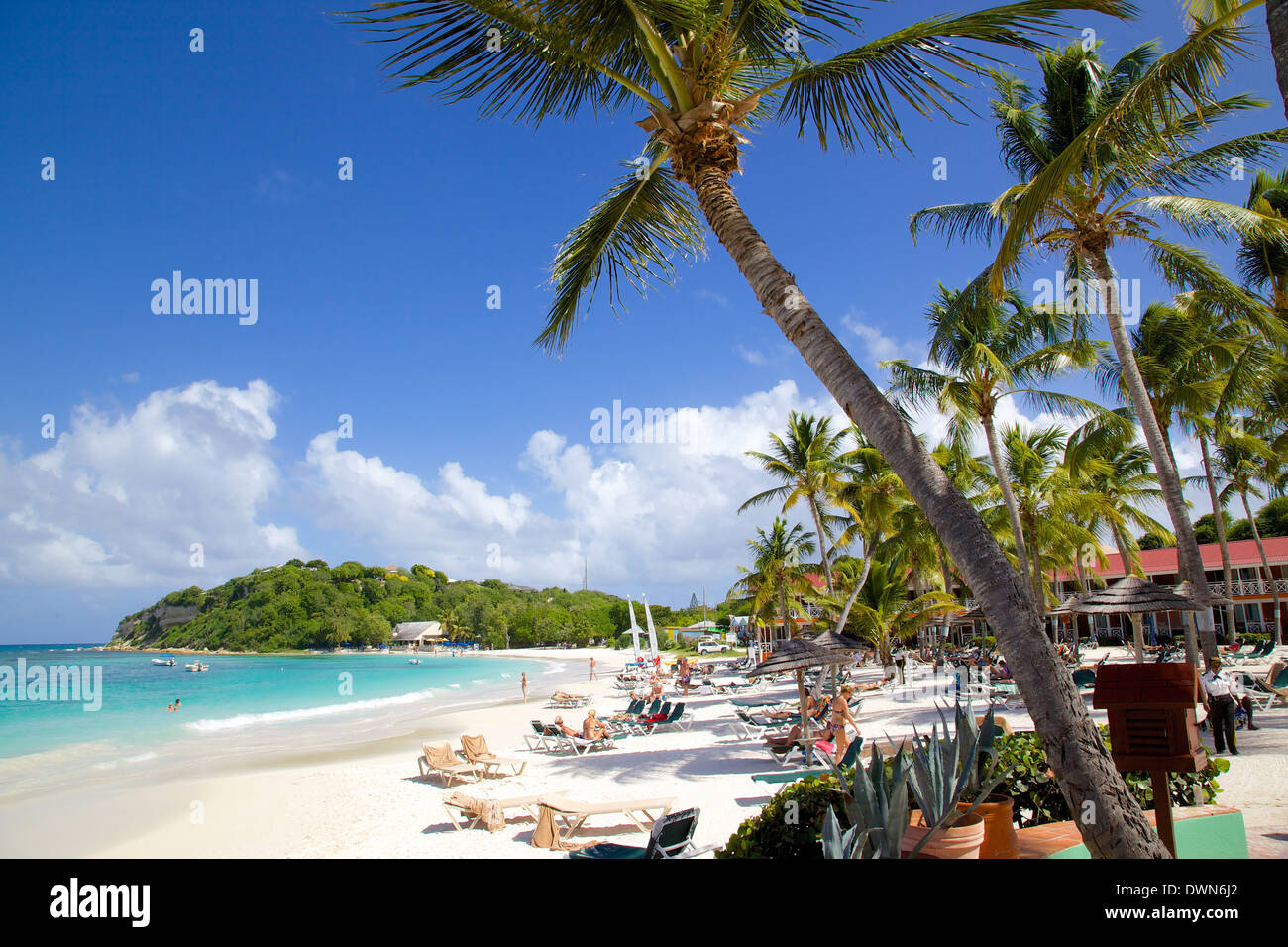 Spiaggia e palme, Long Bay, Antigua, Isole Sottovento, West Indies, dei Caraibi e America centrale Foto Stock
