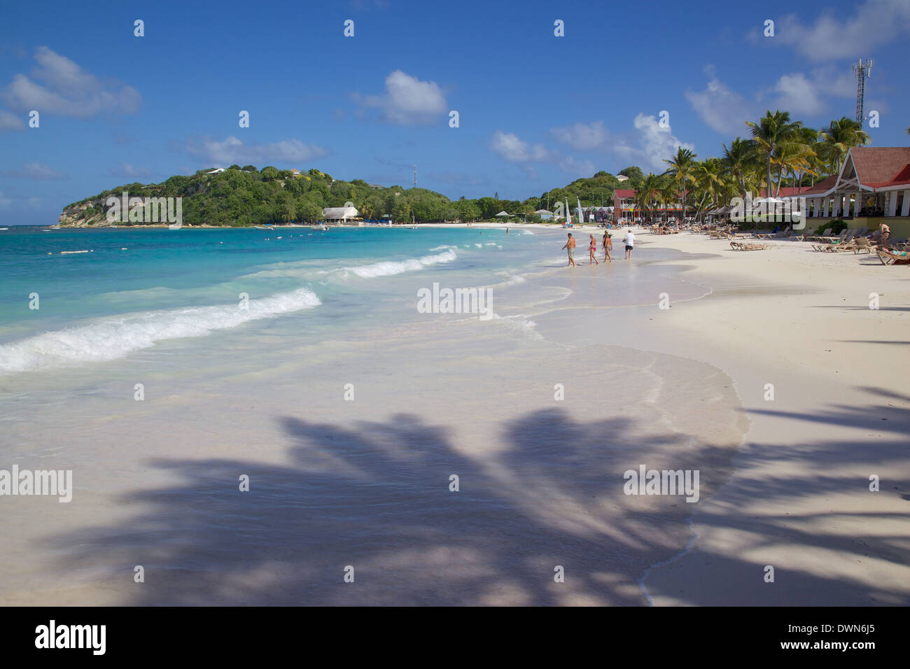 Beach, Long Bay, Antigua, Isole Sottovento, West Indies, dei Caraibi e America centrale Foto Stock