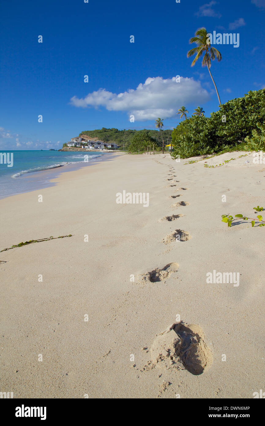 Spiaggia di legno scuro, St. Johns, Antigua, Isole Sottovento, West Indies, dei Caraibi e America centrale Foto Stock