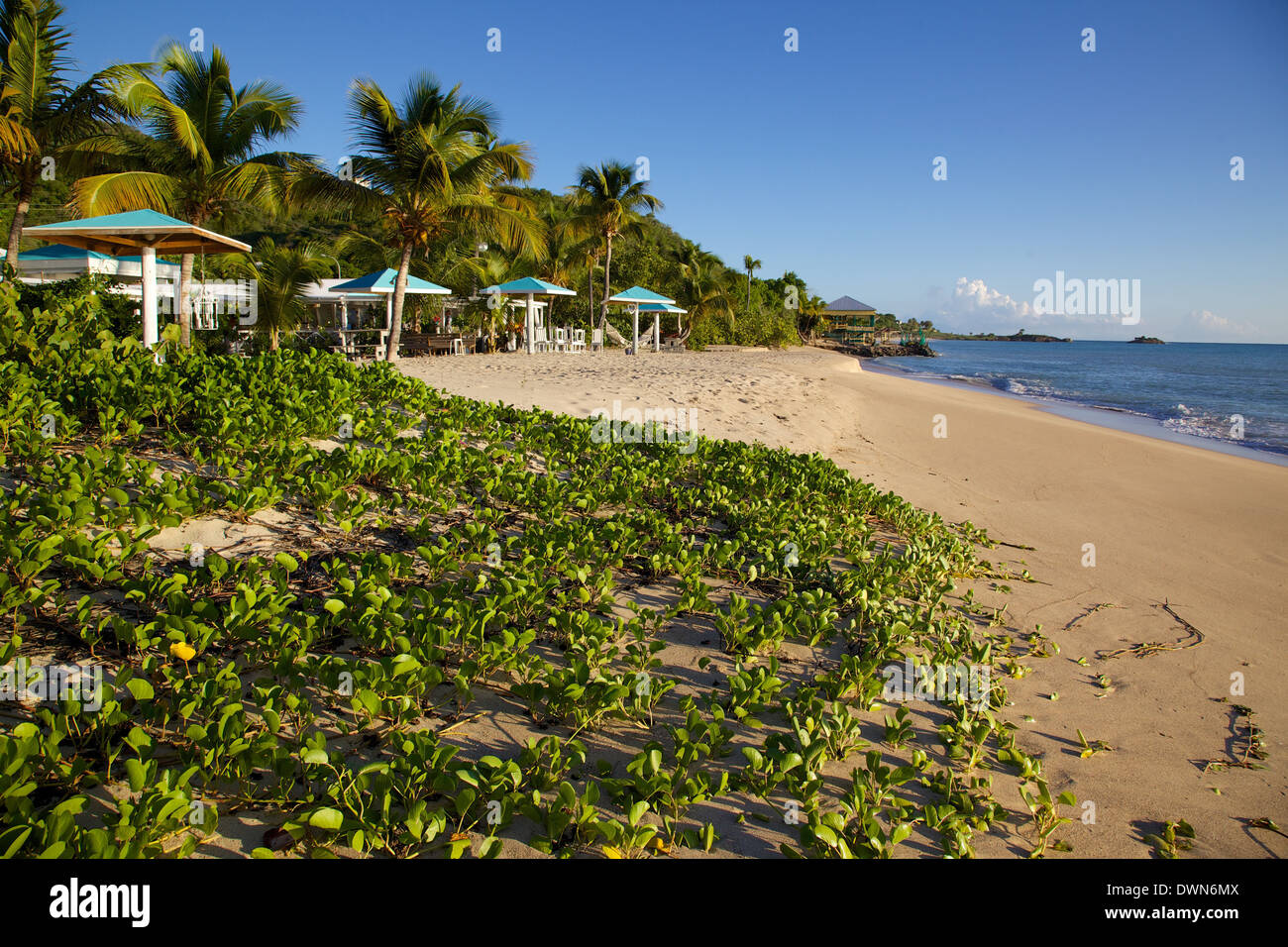 Turner Beach, Santa Maria, Antigua, Isole Sottovento, West Indies, dei Caraibi e America centrale Foto Stock
