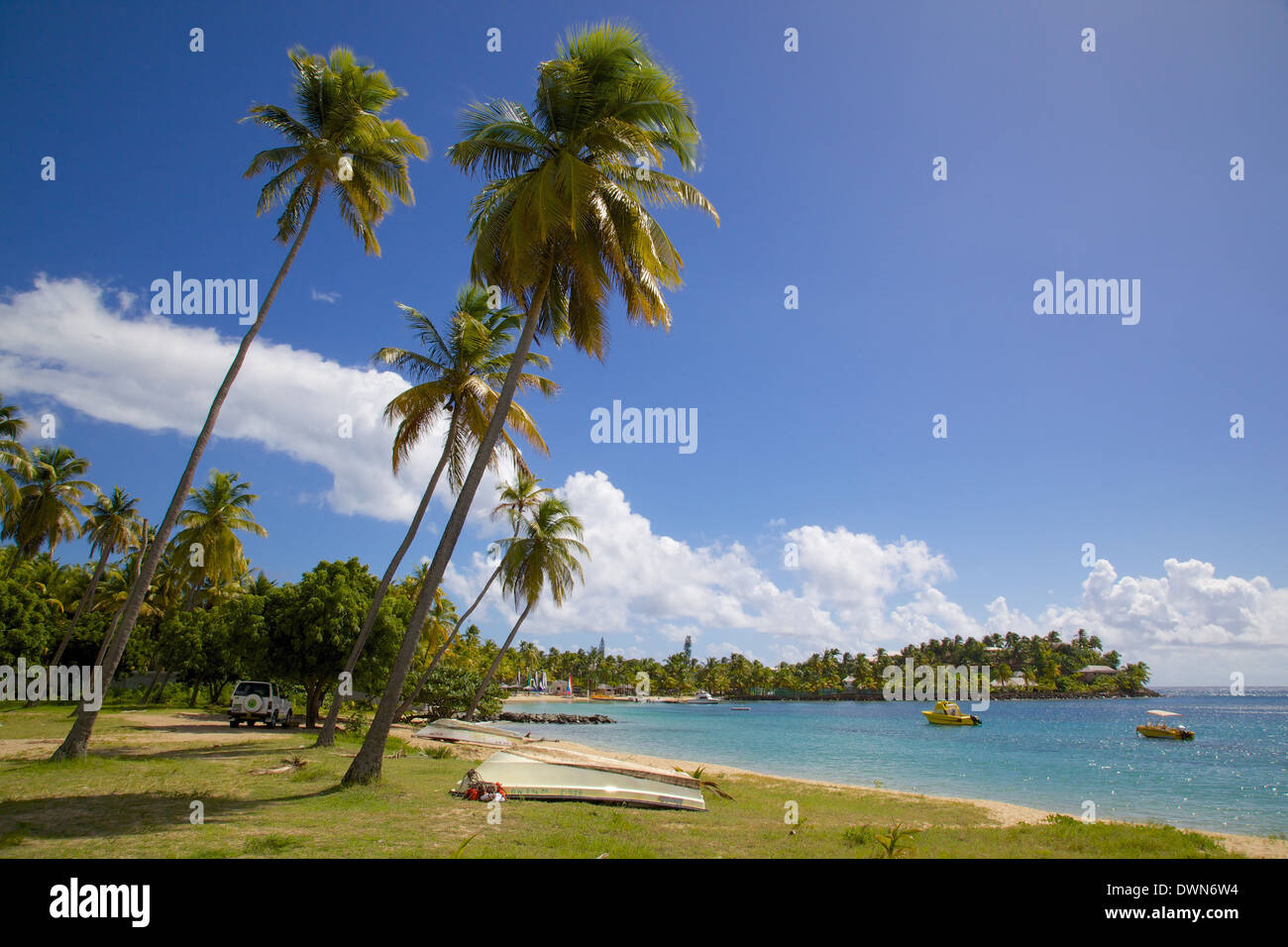Le palme e la spiaggia, Morris Bay, Santa Maria, Antigua, Isole Sottovento, West Indies, dei Caraibi e America centrale Foto Stock